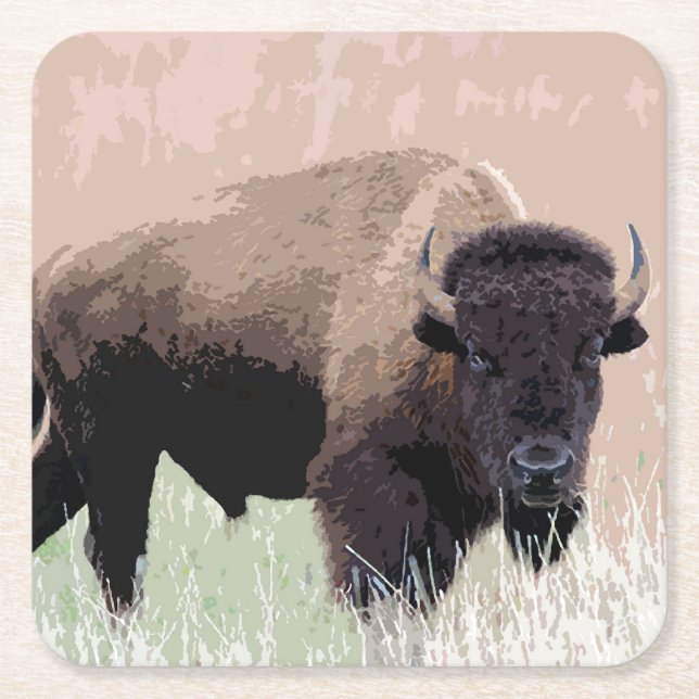 Buffalo / Bison Square Paper Coaster (Front)
