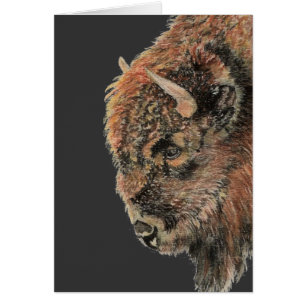 Buffalo, Bison, Watercolor Animal