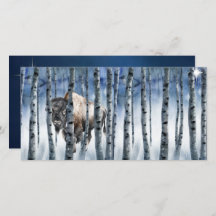 Buffalo Bison Winter Woods with Star Holiday Card