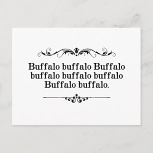 Buffalo Buffalo Sentence Postcard