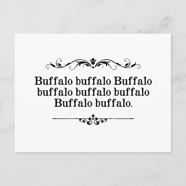 Buffalo Buffalo Sentence Postcard (Front)