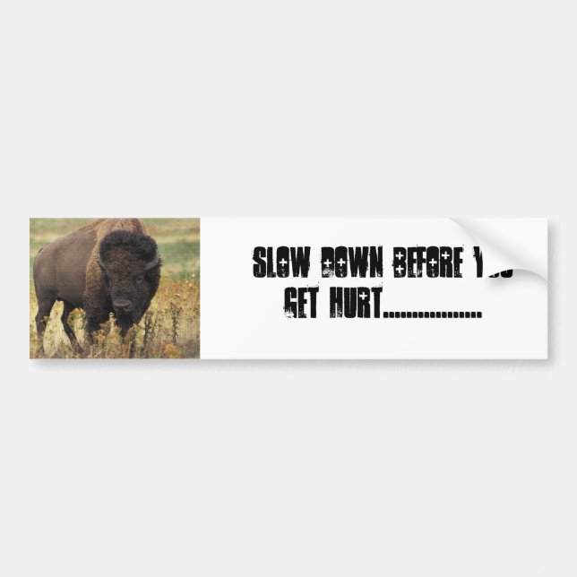 BUFFALO BUMPER STICKER (Front)