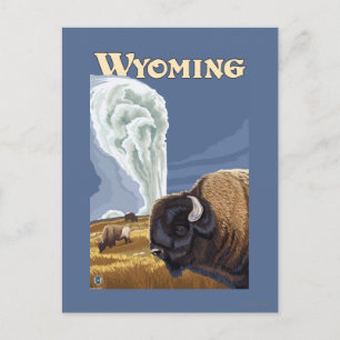 Buffalo by Old Faithful Vintage Travel Poster Postcard