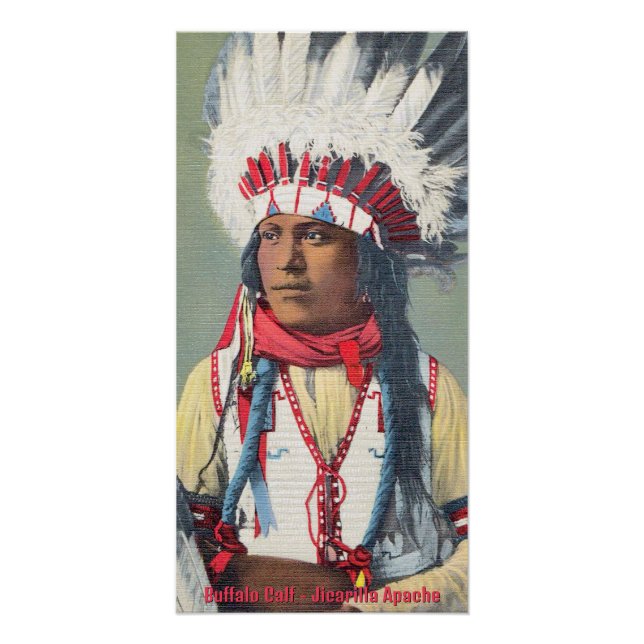 Buffalo Calf Native American Poster (Front)