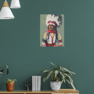 Buffalo Calf Native American Poster