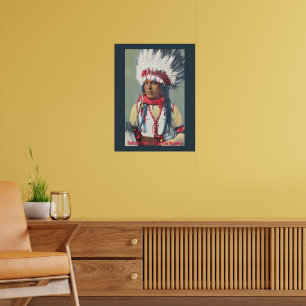 Buffalo Calf Native American Poster
