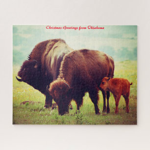 Buffalo & Calf  Oklahoma.Christmas Greetings Jigsaw Puzzle