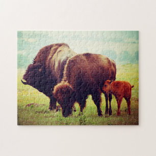 Buffalo & Calf  Oklahoma. Jigsaw Puzzle