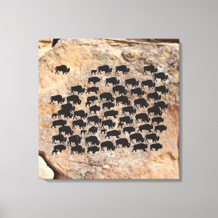 Buffalo Canvas Print
