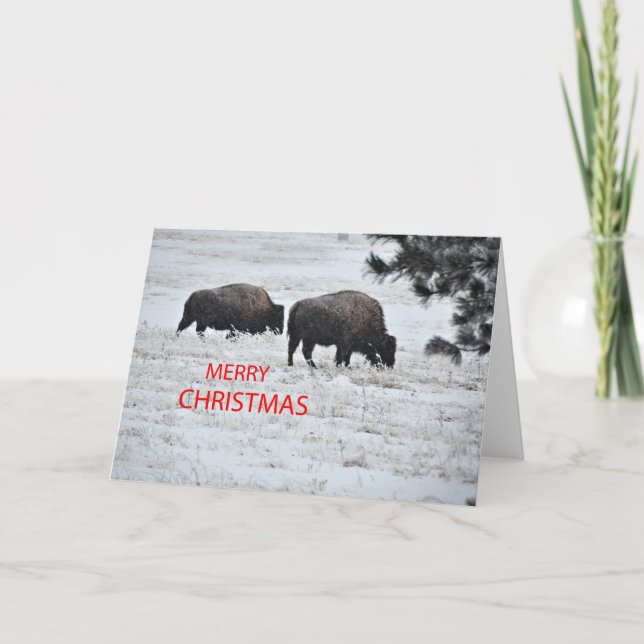 Buffalo Christmas Holiday Card (Front)