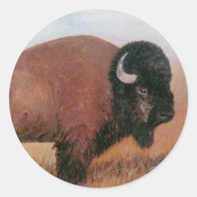 Buffalo Classic Round Sticker (Front)