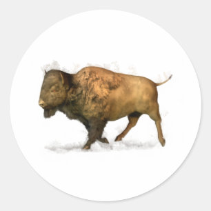 Buffalo Classic Round Sticker