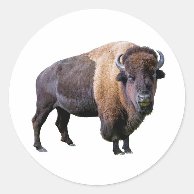 buffalo classic round sticker (Front)
