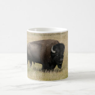 Buffalo Classic White Mug
