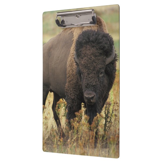 Buffalo Clipboard (Left)