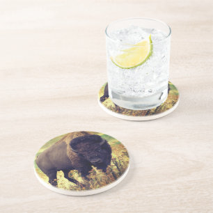 Buffalo Coaster