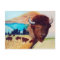 Buffalo Dream Postcard