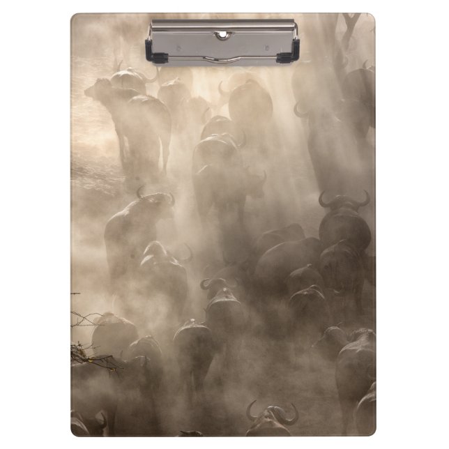 Buffalo Dust Clipboard (Front)