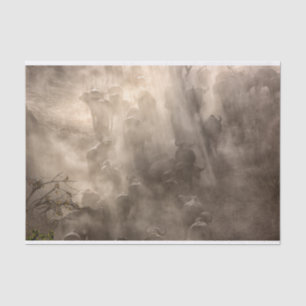 Buffalo Dust Tissue Paper