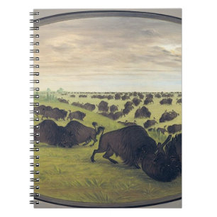 Buffalo fighting notebook