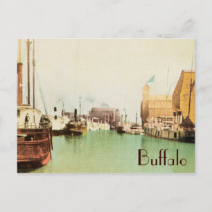 Buffalo Harbour Vintage Postcard