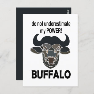 Buffalo Head Bison Animal Buffalo Postcard