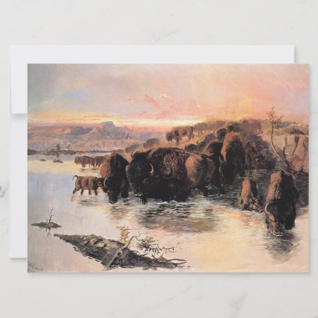Buffalo Herd Card (Front)