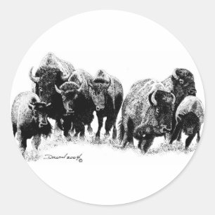 Buffalo Herd Classic Round Sticker