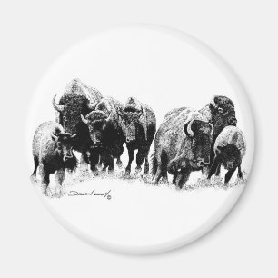Buffalo Herd Magnet