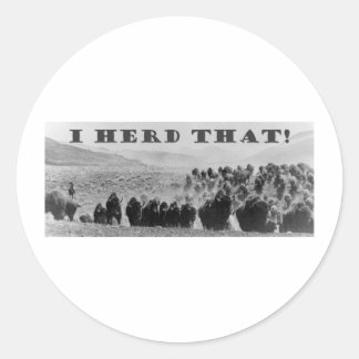buffalo herd that playaaa classic round sticker