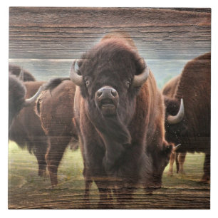 Buffalo Herd Tile