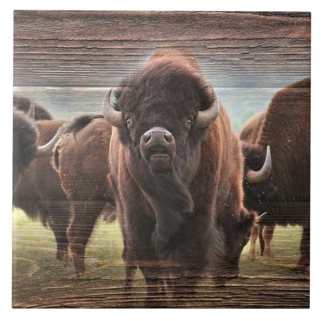 Buffalo Herd Tile (Front)