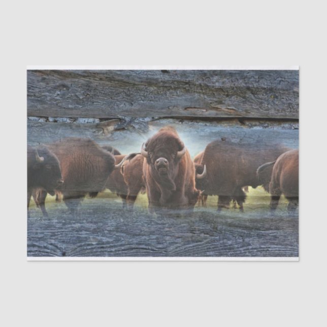Buffalo Herd Tissue Paper (Front)