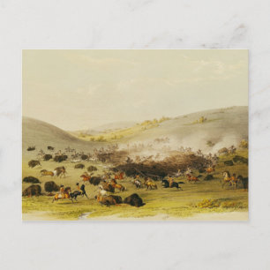 Buffalo Hunt, Surround, c.1832 Postcard