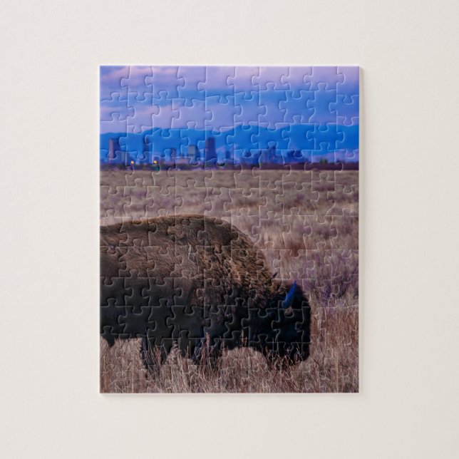 Buffalo in Denver, Colorado Jigsaw Puzzle (Vertical)