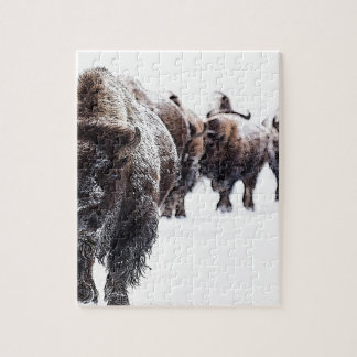 Buffalo Jigsaw Puzzle