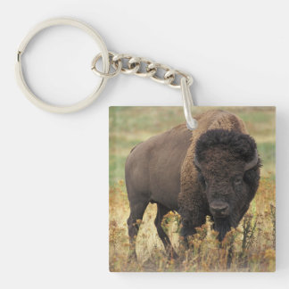 Buffalo Key Ring