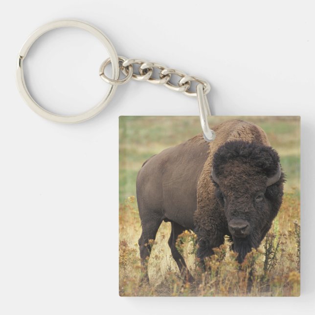 Buffalo Key Ring (Front)