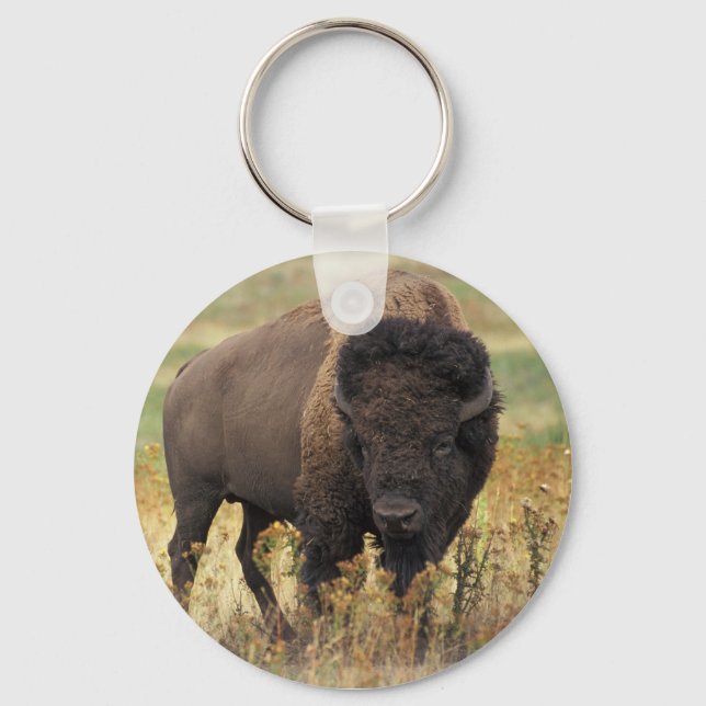 Buffalo Key Ring (Front)