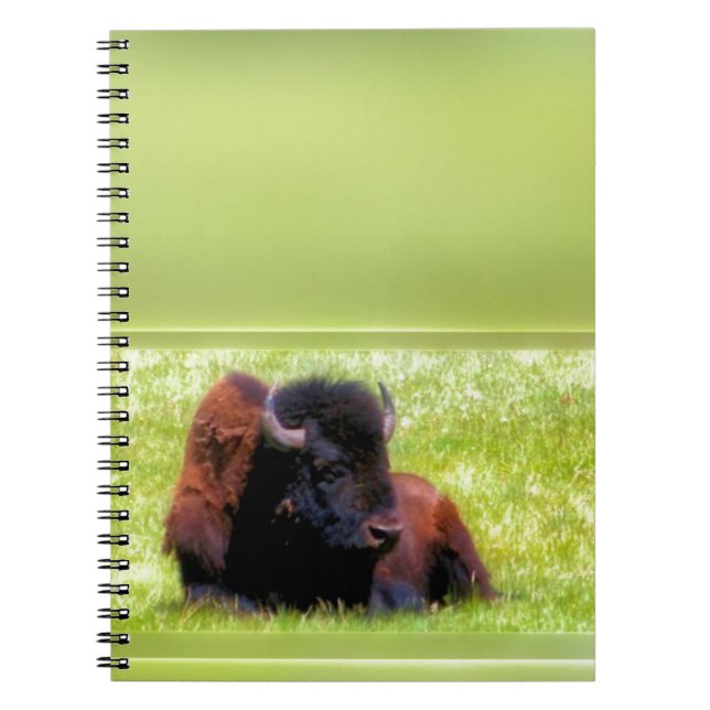Buffalo Meadow Notebook (Front)