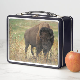 Buffalo Metal Lunch Box