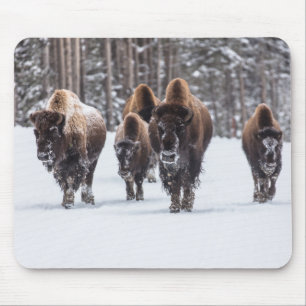 Buffalo Mouse Mat