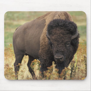 Buffalo Mouse Mat