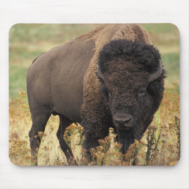 Buffalo Mouse Mat (Front)