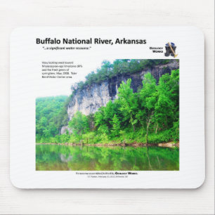 Buffalo National River I - Spring Foliage 2008 Mouse Mat