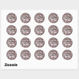 Buffalo Nickel Classic Round Sticker