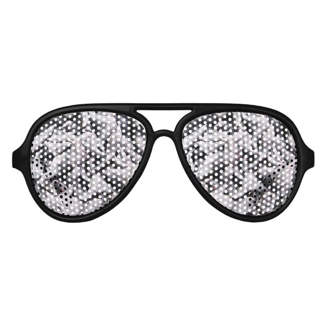 Buffalo Nuts - Water Caltrop Aviator Sunglasses (Front)