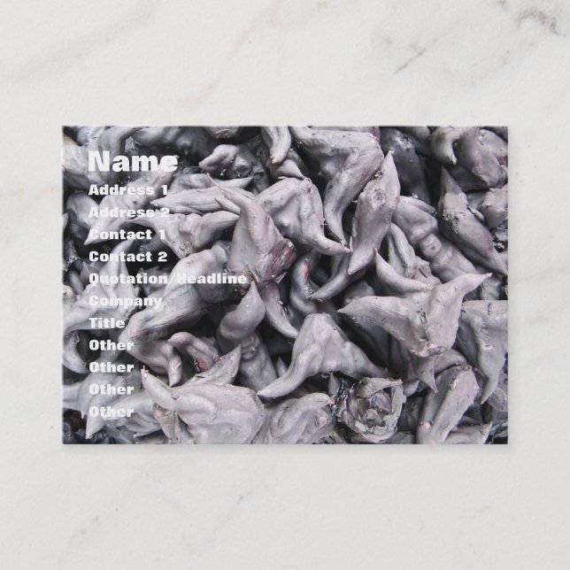 Buffalo Nuts - Water Caltrop Business Card (Front)