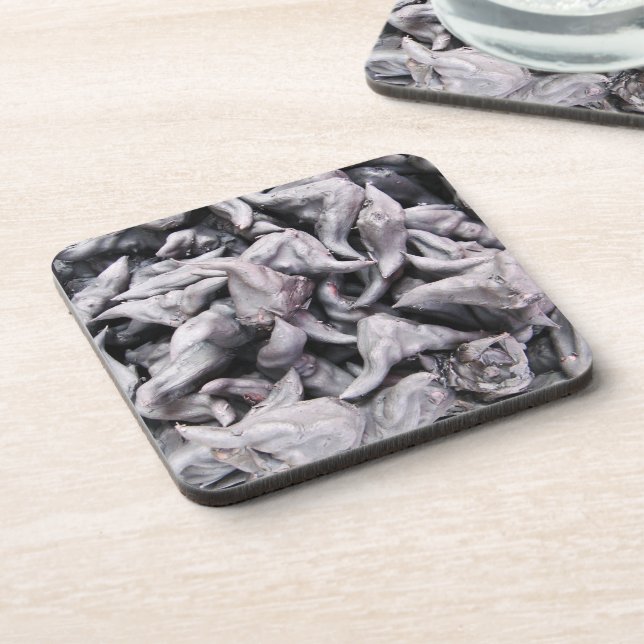 Buffalo Nuts - Water Caltrop Coaster (Left Side)