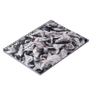 Buffalo Nuts - Water Caltrop Notebook
